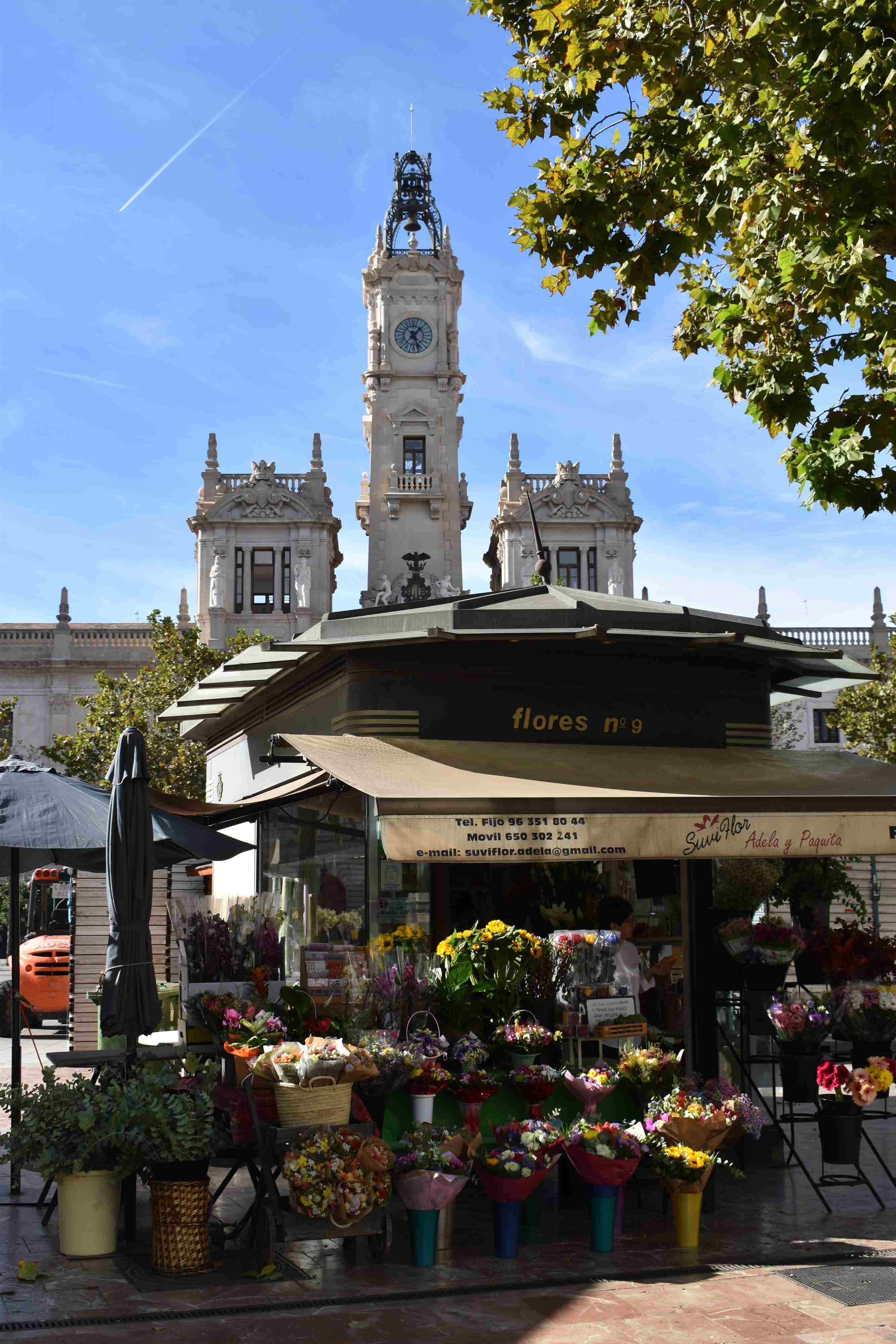 Private Tour of Valencia