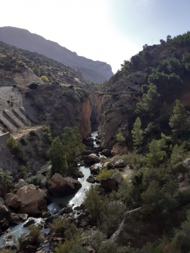 From the Costa del Sol: Panoramic tour + Guided tour/VR experience/Free time