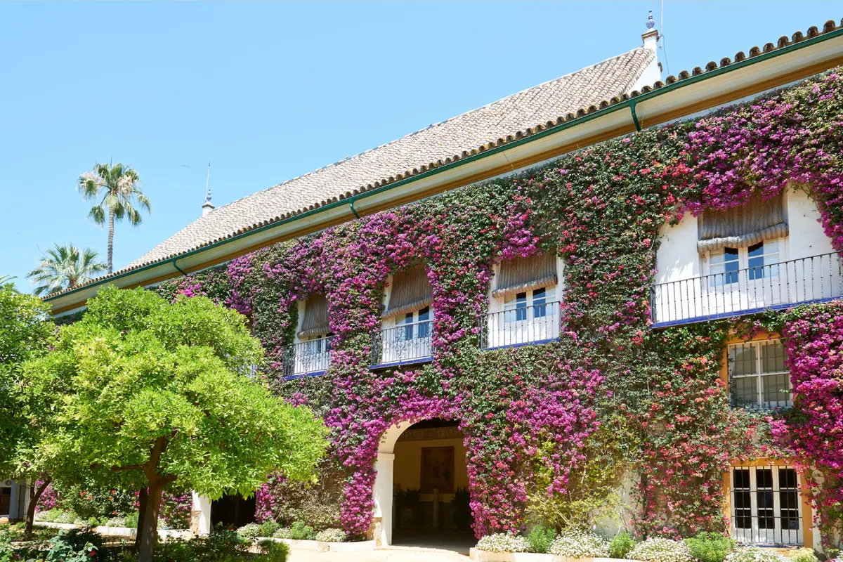 Guided Tour of the Palacio de las Dueñas in Seville