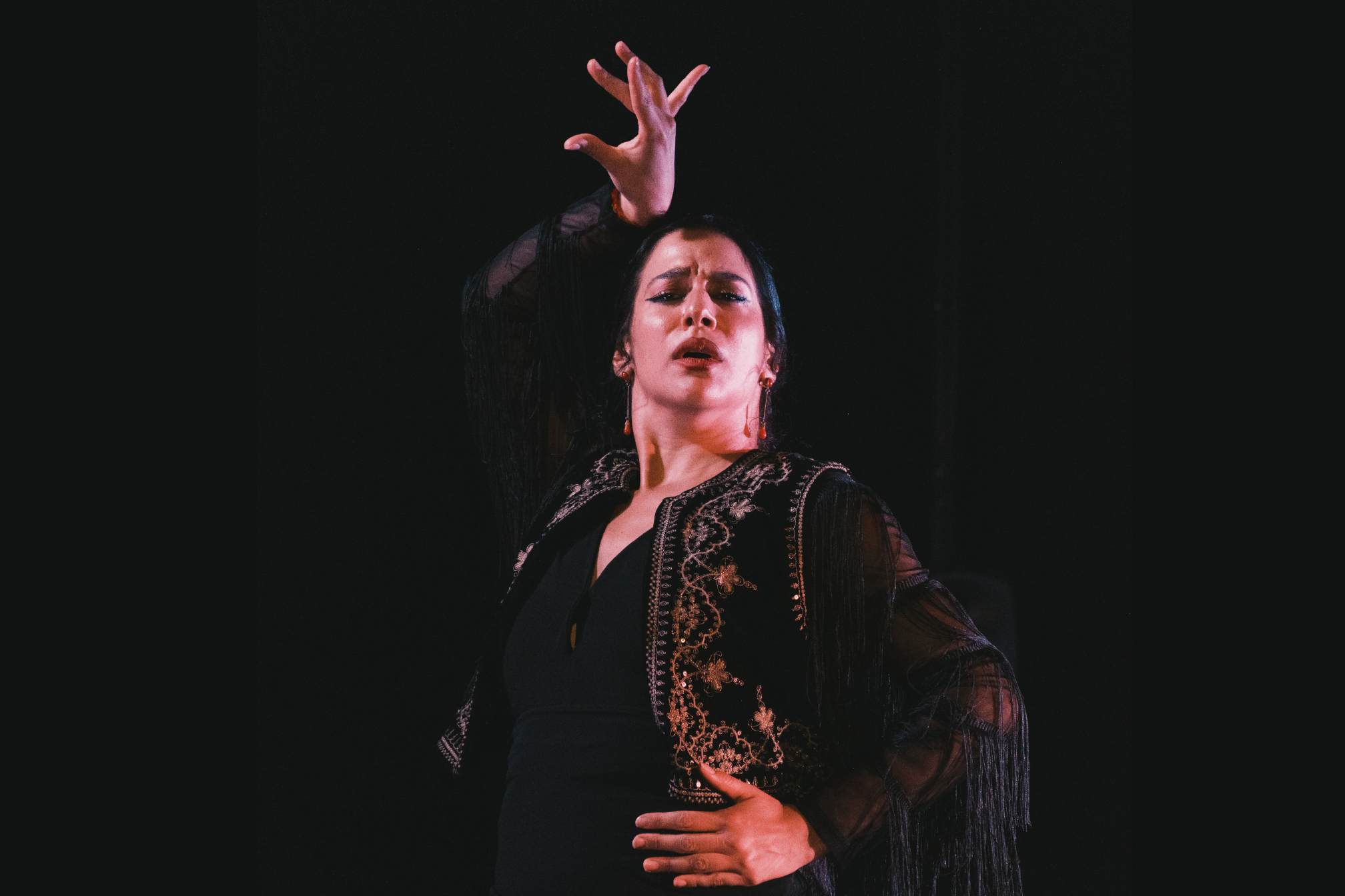 Flamenco show at Casa Ana