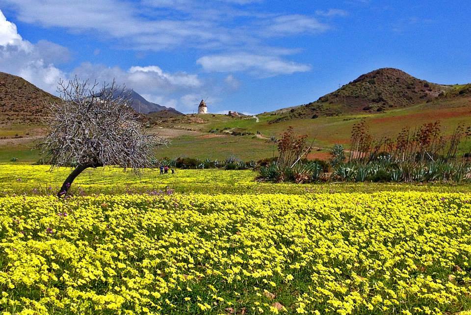 Ruta de los Piratas por Cabo de Gata en 4x4